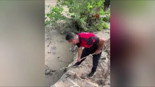 Osmaniye’de çamura saplanan kaplumbağayı itfaiye kurtardı