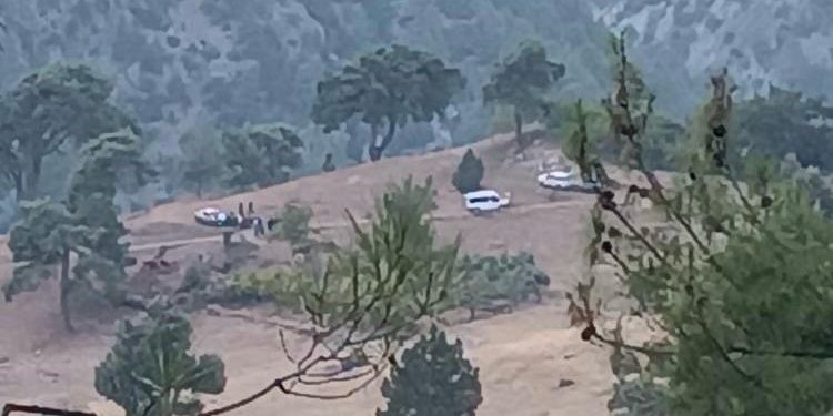 Üzerine tomruk düşen yangın işçisi hayatını kaybetti