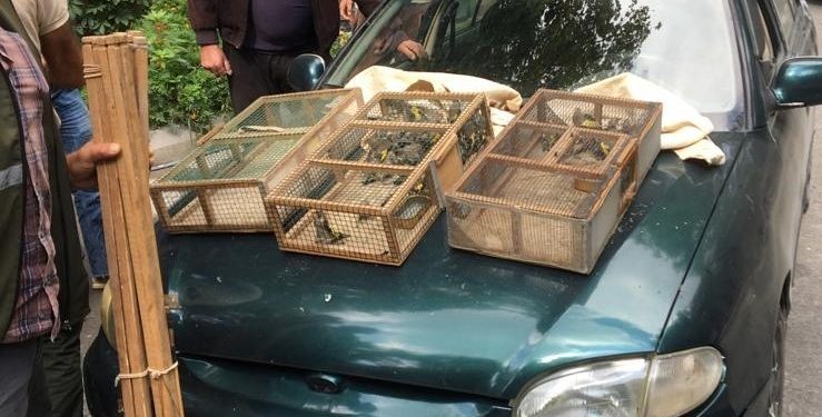 Saka kuşlarını avlayan 2 şahıs suç üstü yakalandı, 73 bin TL ceza kesildi