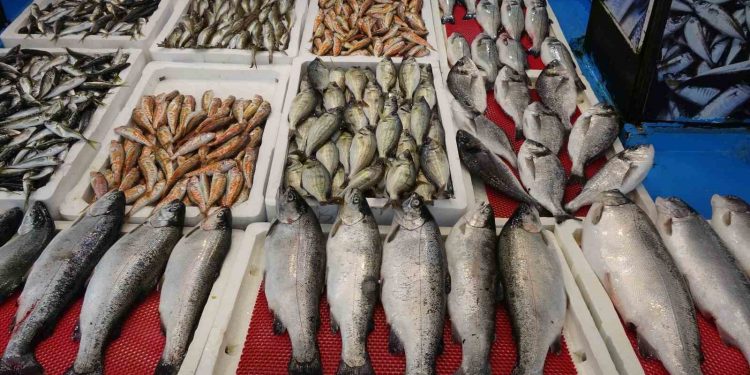 Yasak başladı, tezgâhlar onlara kaldı