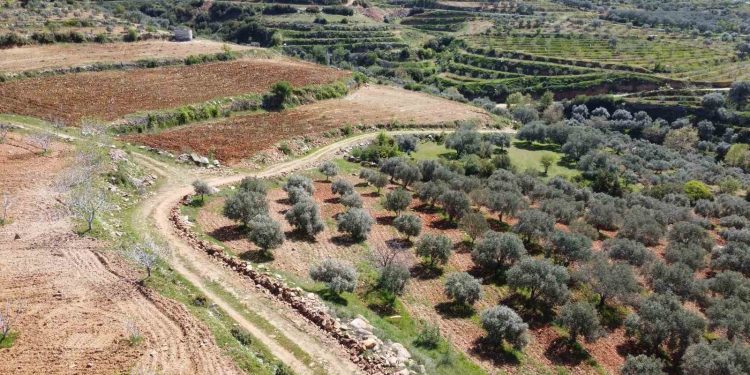 Bozdoğan’da arazi yolları bakıma alındı