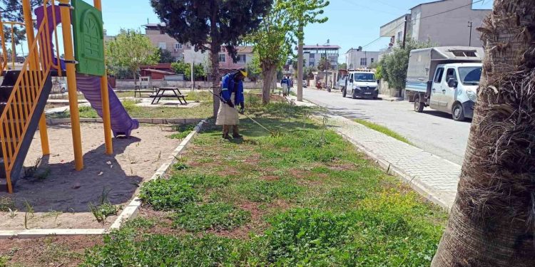 Akdeniz’in yeşil dokusu koruma altında