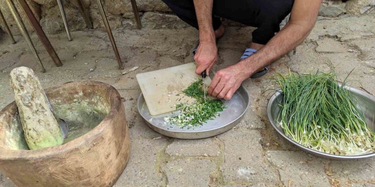 Dağdan toplanıyor, kilosu 10 bin TL’ye satılıyor