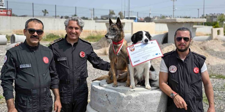 Mersin itfaiyesinin kahraman patileri Ares ve Rex’ten önemli başarı