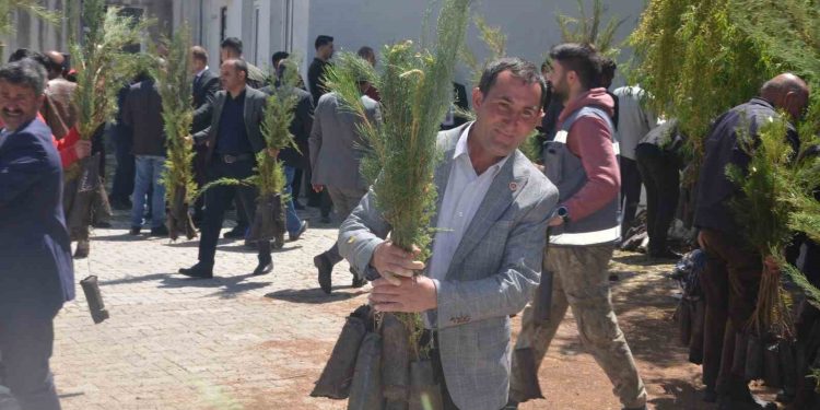 Bulanık’ta 5 bin çam fidanı dağıtıldı