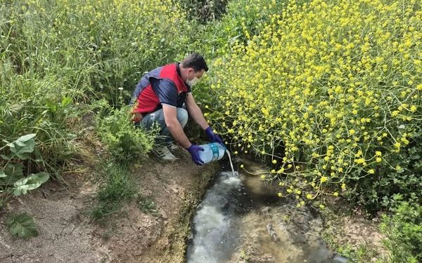 Çanakkale’de çeltik ekim alanlarında sivrisinek mücadelesi başladı