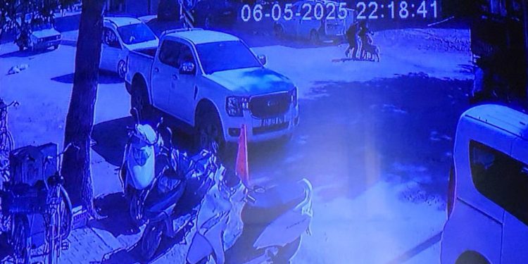 Evden kaçan köpek sokakta yürüyen kızlara saldırdı