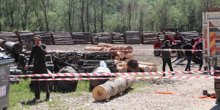 Tonlarca tomruk üzerine devrildi, hastanede hayatını kaybetti