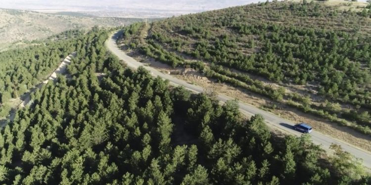 Valilikten yangın tedbiri: 5 ay boyunca ormanlara giriş yasak