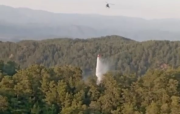 Aydın ve Muğla’daki orman yangınlarına hızlı müdahale