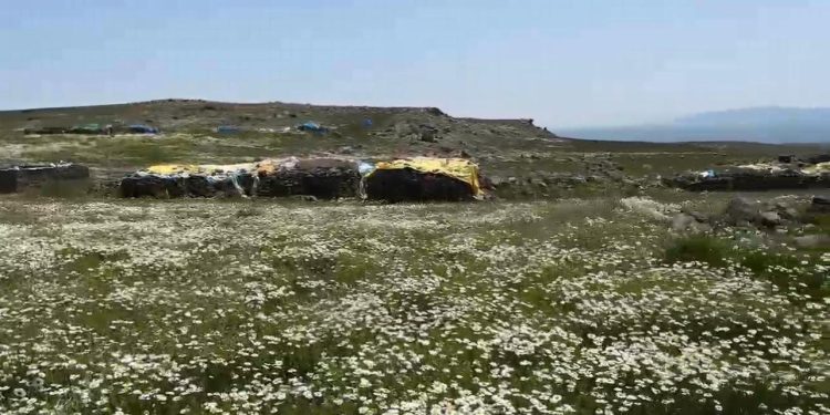 Kars’ta köylüler yaylaları imece usulü hazırlıyor