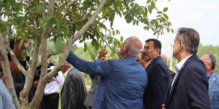 TBMM Zirai Don Araştırma Komisyonu, Bolu’da inceleme yaptı