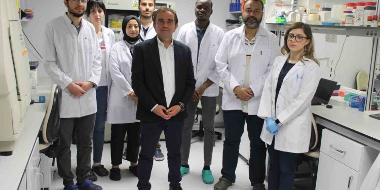KKKA aşısında sona doğru: İnsan üzerinde çalışmalar başlayacak