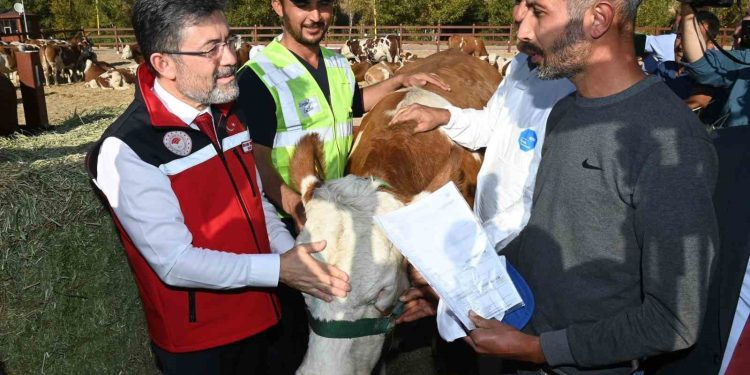 Bakan Yumaklı, Kurban Bayramı’nda 830 bin büyükbaş ve 2,5 milyon küçükbaş hayvan kesildiğini açıkladı