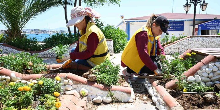 Aydın Büyükşehir’in Didim’de çalışmaları sürüyor